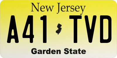 NJ license plate A41TVD