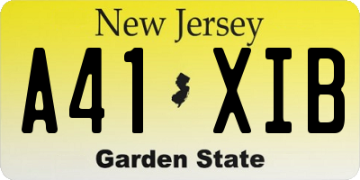 NJ license plate A41XIB