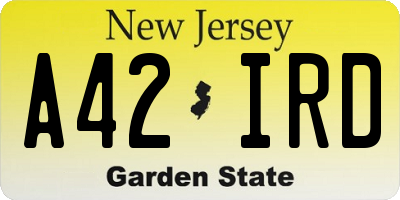 NJ license plate A42IRD
