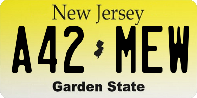 NJ license plate A42MEW