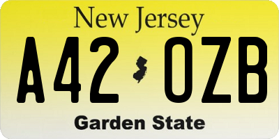 NJ license plate A42OZB