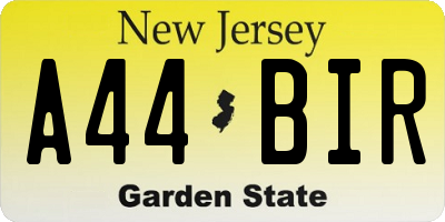 NJ license plate A44BIR