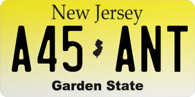 NJ license plate A45ANT