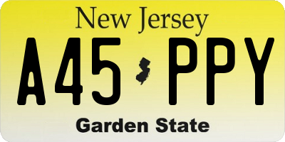 NJ license plate A45PPY