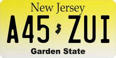 NJ license plate A45ZUI