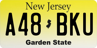 NJ license plate A48BKU