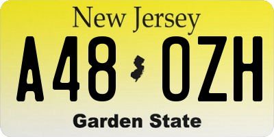 NJ license plate A48OZH