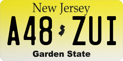 NJ license plate A48ZUI