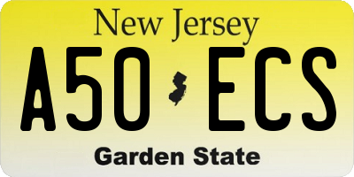NJ license plate A50ECS