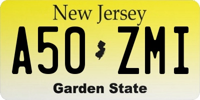 NJ license plate A50ZMI