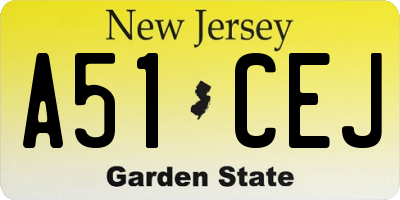 NJ license plate A51CEJ