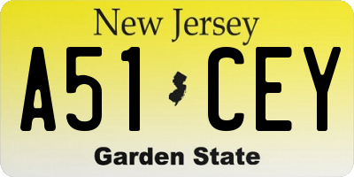 NJ license plate A51CEY