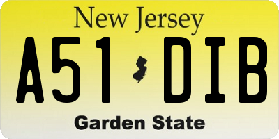 NJ license plate A51DIB
