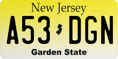 NJ license plate A53DGN