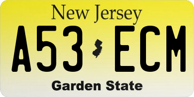NJ license plate A53ECM
