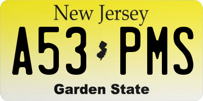 NJ license plate A53PMS