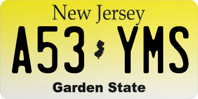 NJ license plate A53YMS