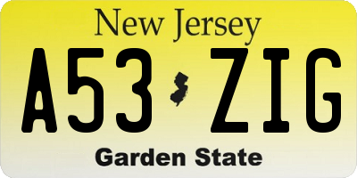 NJ license plate A53ZIG