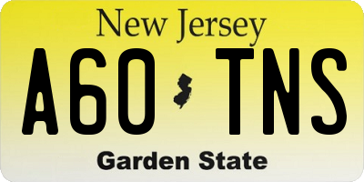 NJ license plate A60TNS