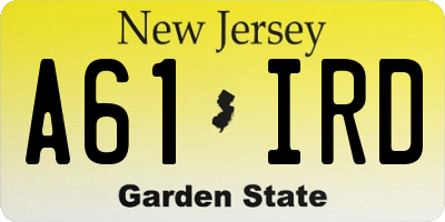 NJ license plate A61IRD