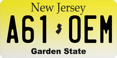NJ license plate A61OEM