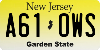 NJ license plate A61OWS