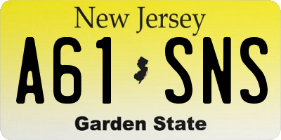 NJ license plate A61SNS
