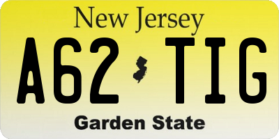 NJ license plate A62TIG