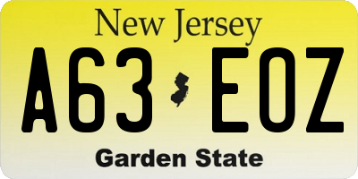 NJ license plate A63EOZ