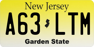 NJ license plate A63LTM
