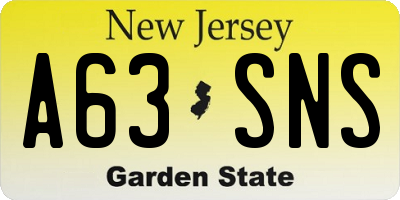NJ license plate A63SNS