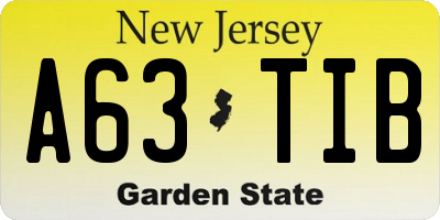 NJ license plate A63TIB