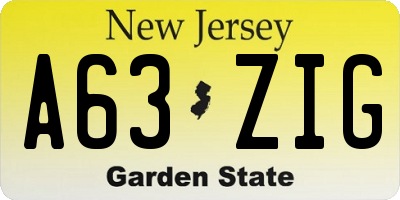 NJ license plate A63ZIG
