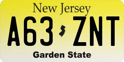 NJ license plate A63ZNT