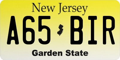 NJ license plate A65BIR