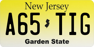 NJ license plate A65TIG