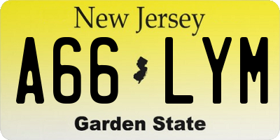 NJ license plate A66LYM