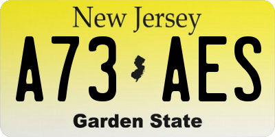 NJ license plate A73AES