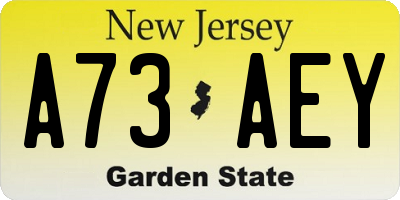 NJ license plate A73AEY