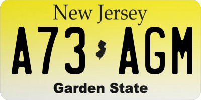 NJ license plate A73AGM