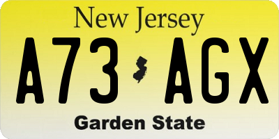NJ license plate A73AGX