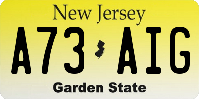 NJ license plate A73AIG