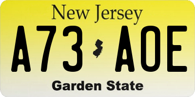NJ license plate A73AOE