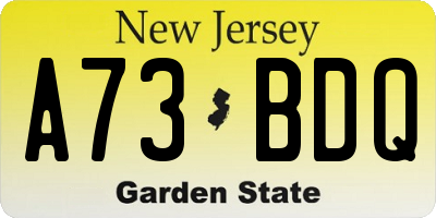 NJ license plate A73BDQ