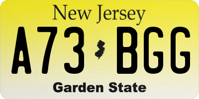 NJ license plate A73BGG