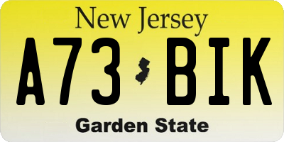 NJ license plate A73BIK