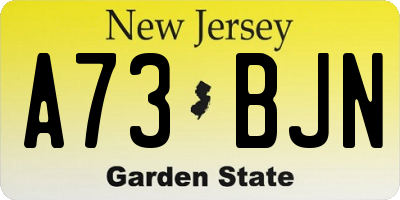NJ license plate A73BJN
