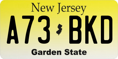 NJ license plate A73BKD