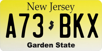 NJ license plate A73BKX