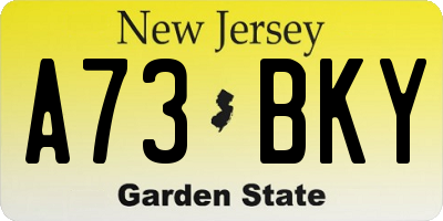NJ license plate A73BKY
